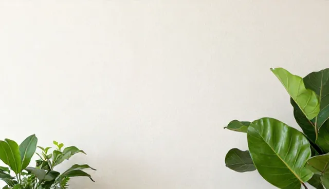 运维服务技术更新滞后,如何应对性能与适用条件问题